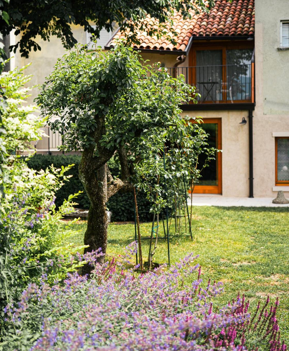 La Casa Del Ciliegio